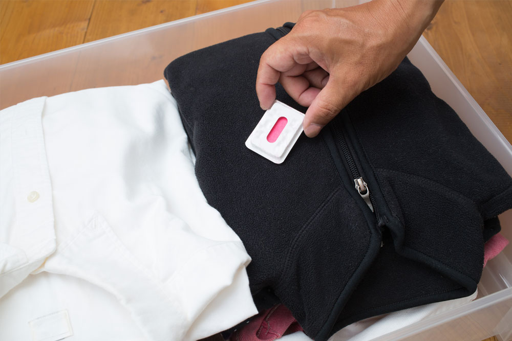 Woman placing mothballs (naphtalene) in her clothes Stock Photo