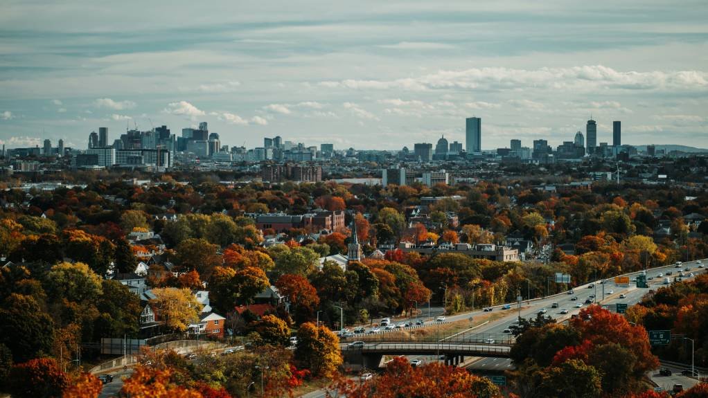 BOS fall (1).jpg